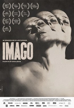 DKF REWERS - Imago