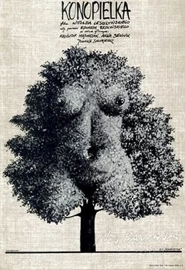 DKF REWERS - Konopielka