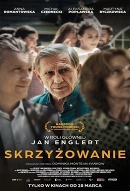 DKF REWERS Senior - Skrzyżowanie